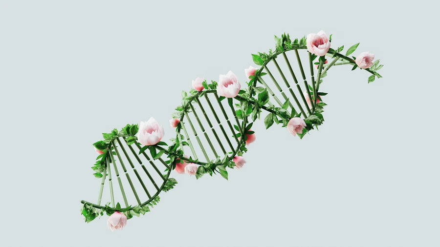 Human Genome Project: A Remarkable Success Story in Science Diplomacy