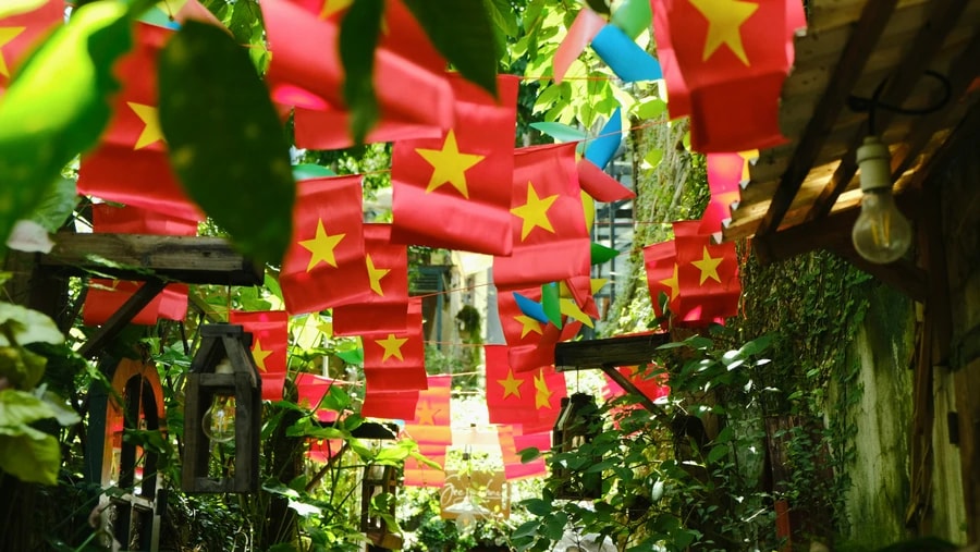 Vietnam’s Chip Bet –and America is all in